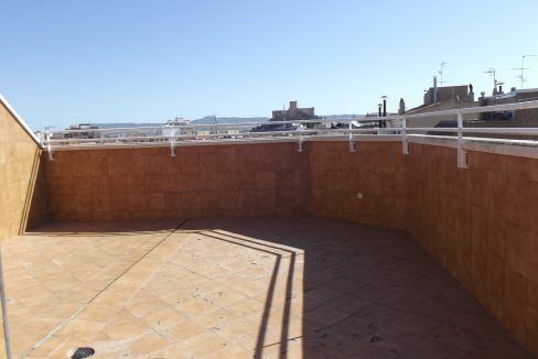 DSCF1104