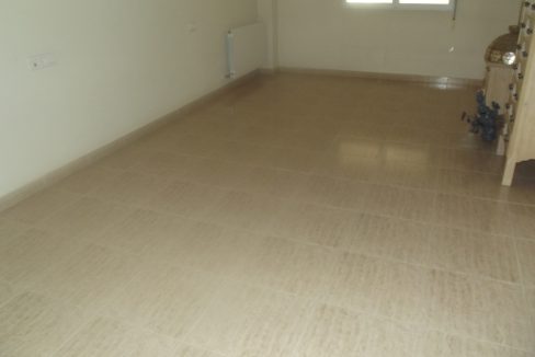 DSCF2499