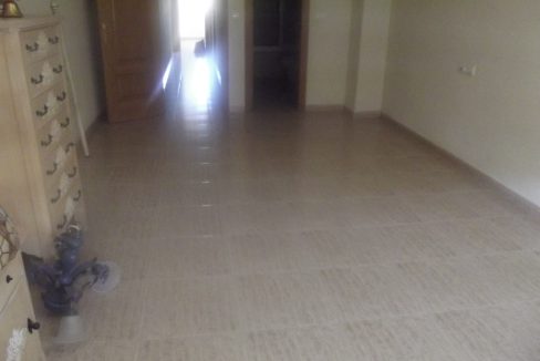 DSCF2521