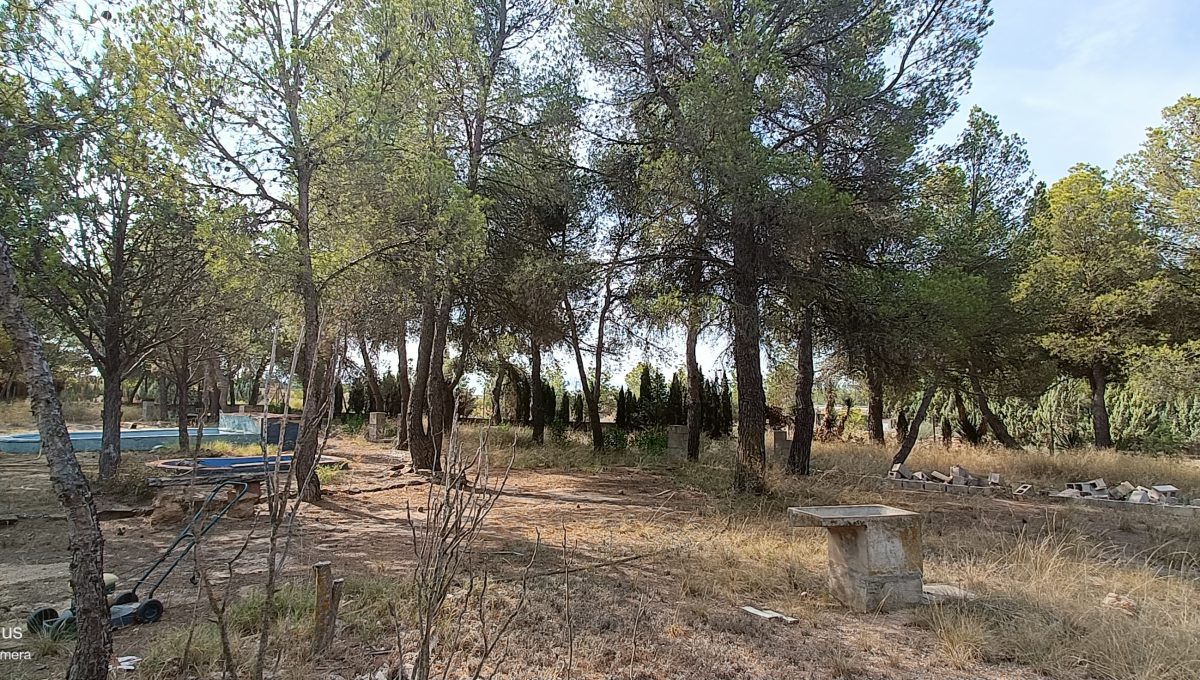 IMG20240822105125
