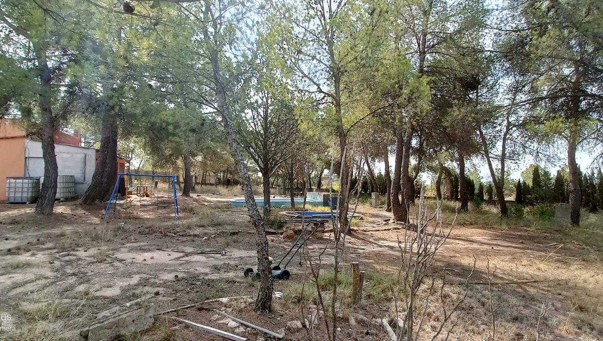 IMG20240822105128