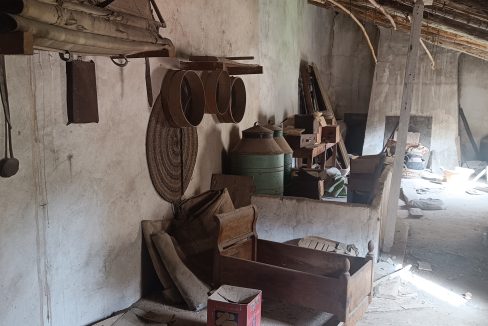 IMG20250827101137 - copia