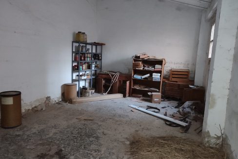 IMG_20251203_173707 - copia