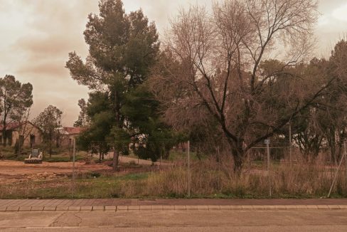 WhatsApp Image 2026-02-04 at 22.06.48