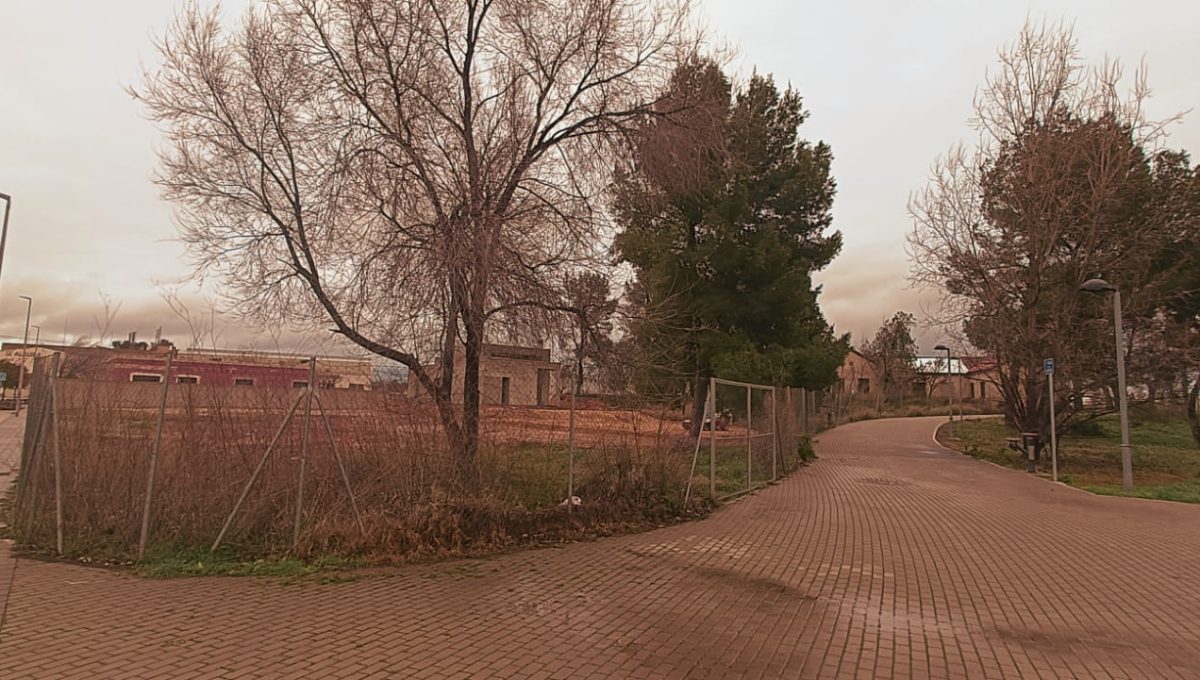 WhatsApp Image 2026-02-04 at 22.06.54