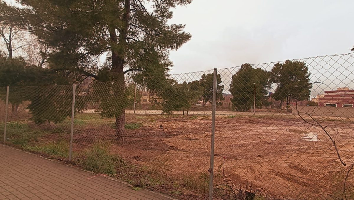 WhatsApp Image 2026-02-04 at 22.06.56