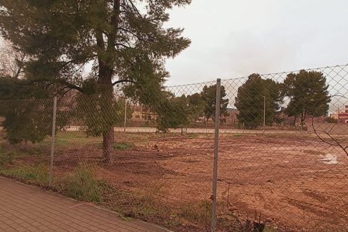 WhatsApp Image 2026-02-04 at 22.06.56